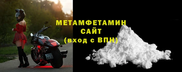 прущие грибы Новый Уренгой