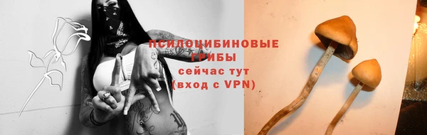 мескалин Надым