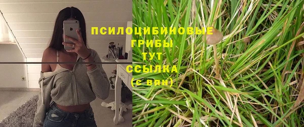 мескалин Надым