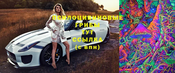 мескалин Надым