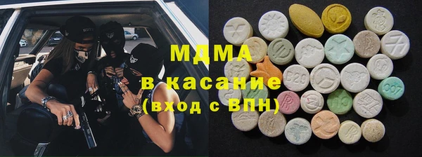 прущие грибы Новый Уренгой