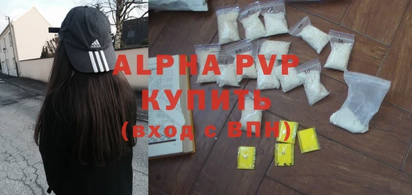 прущие грибы Новый Уренгой